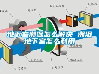 企業(yè)新聞地下室潮濕怎么解決 潮濕地下室怎么利用