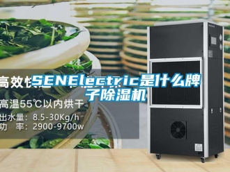 企業(yè)新聞SENElectric是什么牌子除濕機